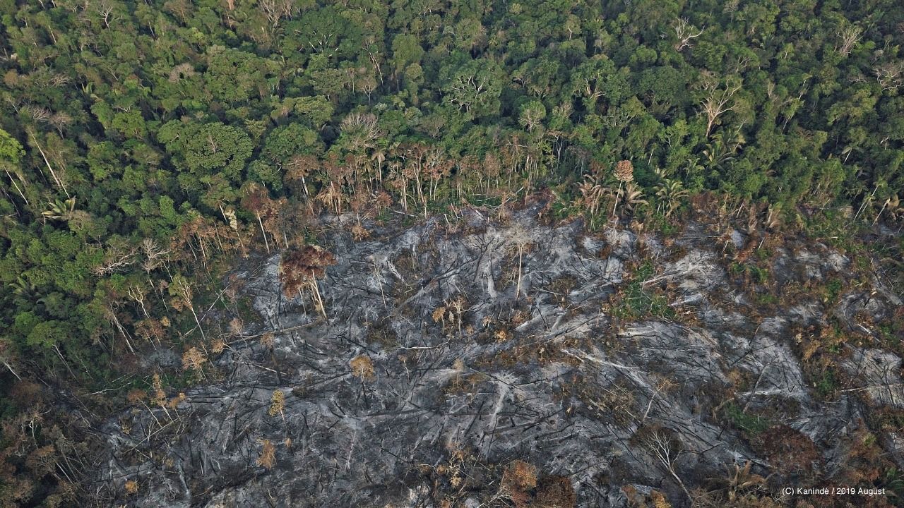 Αεροφωτογράφια δάσους με περιοχή χωρίς δέντρα και γύρω γύρω πυκνή βλάστηση